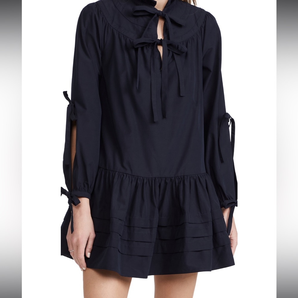 AMUR Oriana Blouson Sleeve Dress
From Shopbop NWT size 00